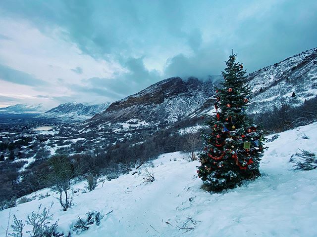 thisisogdenutah's tweet image. Merry Christmas, Ogden. To those who live, lived, and want to live here, we wish you happiness and health. Thanks for all your support and contributions to this account over the years! Here’s to many more years of photos, videos, and hashtags of our awesome community.
#thisi…