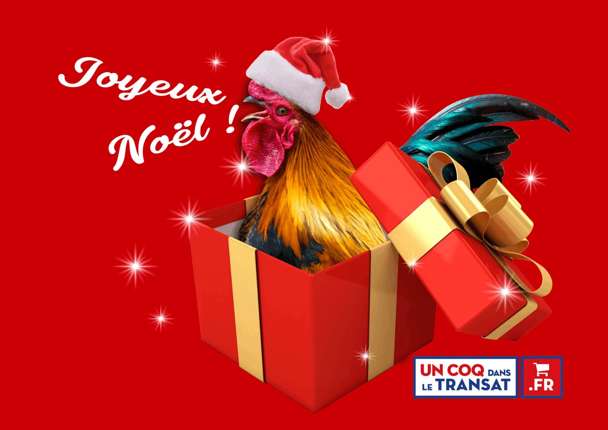 dansletransat's tweet photo. En espérant que vous trouverez de nombreux cadeaux Made In France sous votre sapin 🌲 https://t.co/vbO6Ru29VE
