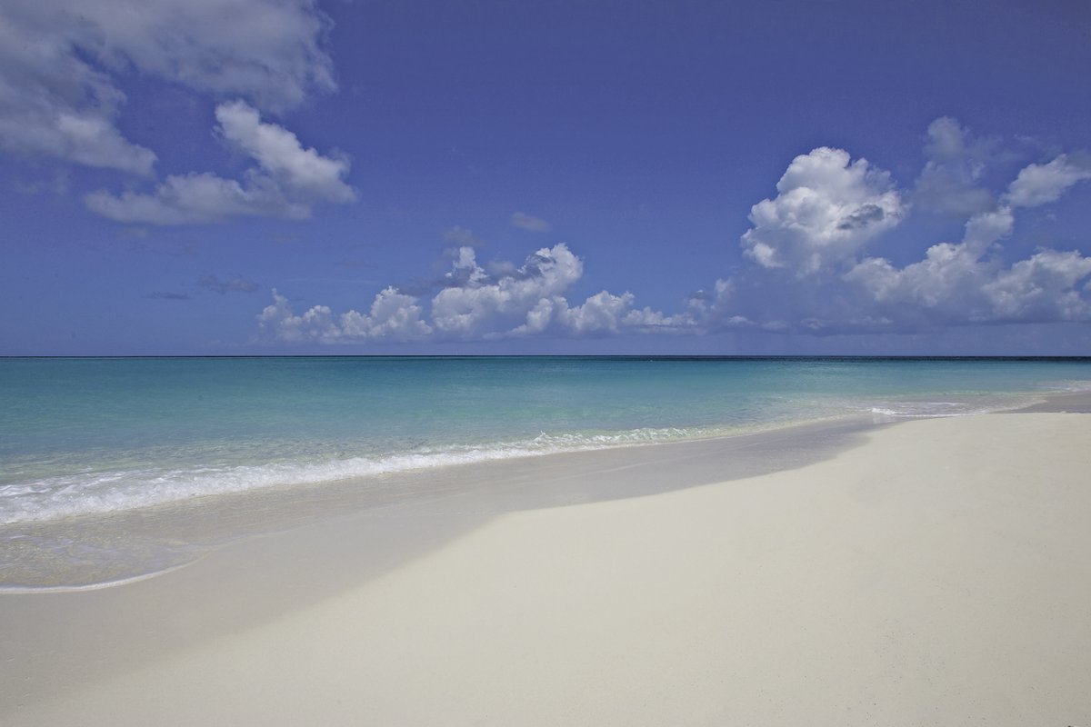 TheSomerset's tweet photo. Wishing you a holiday season filled with comfort and joy!
#BestBeach #GraceBay #Caribbean #beach #vacation #turksandcaicos #travel #tranquility #comfort #joy #peace https://t.co/oEVi3YDzpx