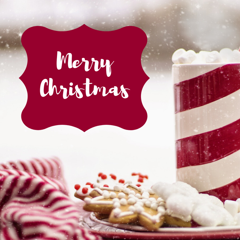 EnergyHealingGA's tweet photo. May the Christmas spirit bless you and your loved ones! https://t.co/Y2EdZGCylA