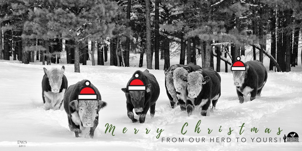 Merry Christmas, from our herd to yours!

Arizona Beef. Raised by Families for Families.