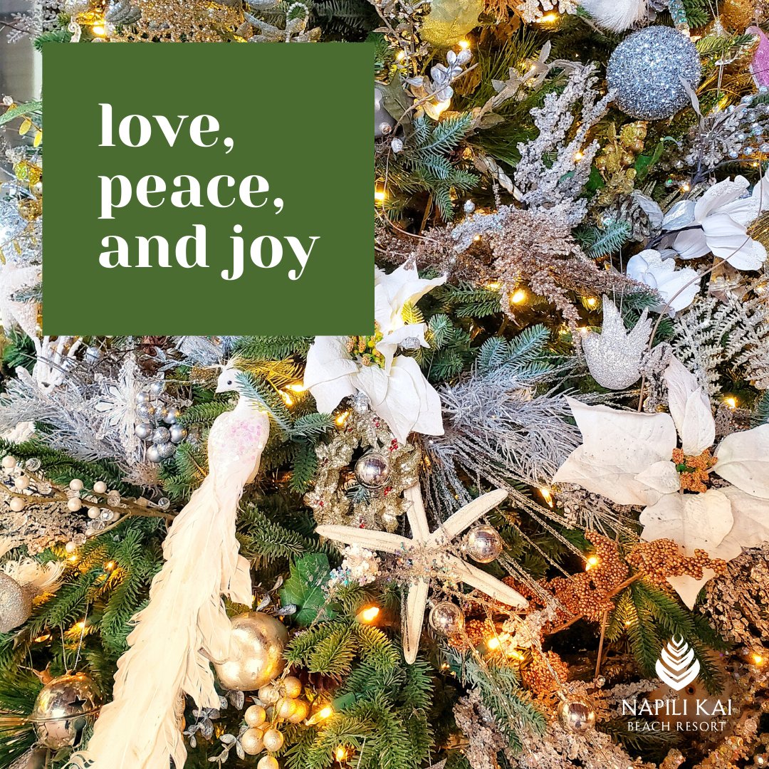 Mele Kalikimaka me ka Hauʻoli Makahiki Hou! Warmest wishes for a peaceful holiday season and a joyous new year, from the Napili Kai ʻohana. ✨🎄❤️