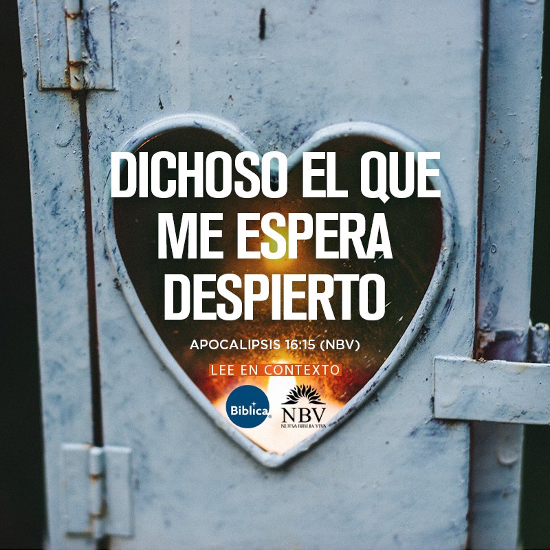 OyM_dtD's tweet photo. 📥
📥
📥
#Contenido_🔎
⬆️A.C.⬅️✝️🛐➡️
D.C.⤵️
📥
📥
📥
#NT_📃
📝Las siete copas de la ira de Dios.
✍️#MensajeApocalipsis 16
🖼️ 16:16 🎨🖌️@BiblicaLA https://t.co/2pN1tMBbe0