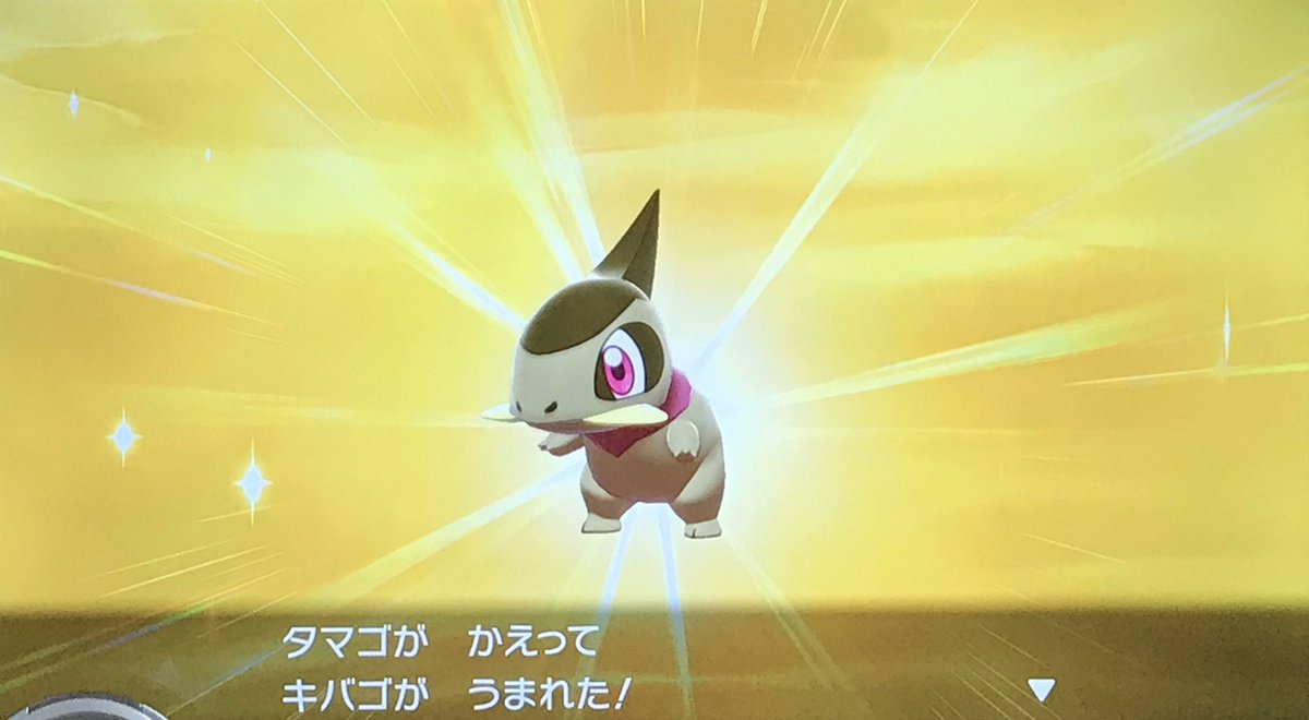 クララ ポケモン剣盾 サンタさんは確かにいた 色キバゴちゃんをお出迎えしました 相棒は来てくれました O ちなみに702体目でした ポケモン キバゴ 色違い