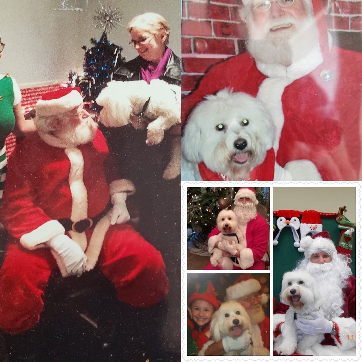 dhoenigparizek's tweet photo. Merry Christmas and Happy Holidays from #pdug Chief Barking Officer, #Heathcliff, and Founder, Debra!#tabletop #dnd #roleplayinggames #RPG #rpggames #fantasy #dungeonsanddragons #gaming #girls #badass #ttrpg #VisibleWomen #womeninrpg #girlgames #gamemasters #WomeninTabletop https://t.co/bdaG7ok9hm