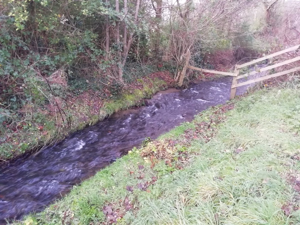 MarkBryant16's tweet photo. Enjoyed my Christmas Day walk with @karenbryant22 #12DaysWild it was great getting outside with nature https://t.co/N5nioe7aUd