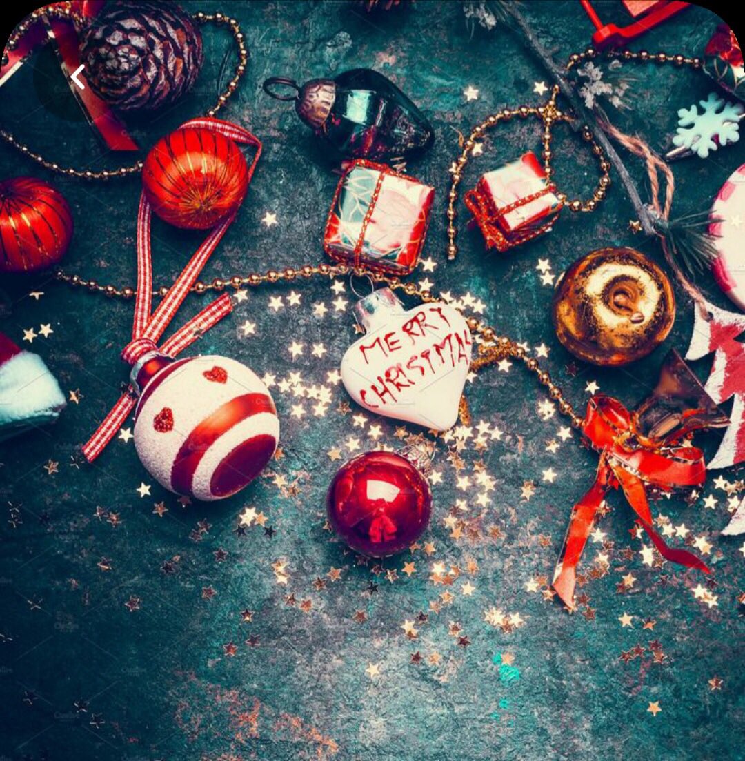 Merry Christmas from our family to yours ❤️