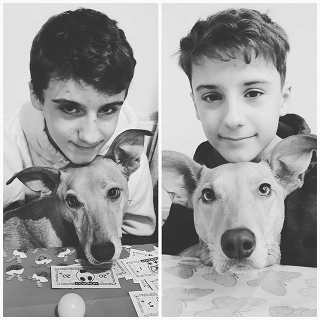 FlutterBeesST's tweet photo. A year apart,I think his biggest change so far! #christmas2018 #christmas2019 #myboy https://t.co/pjOMCA7OA2