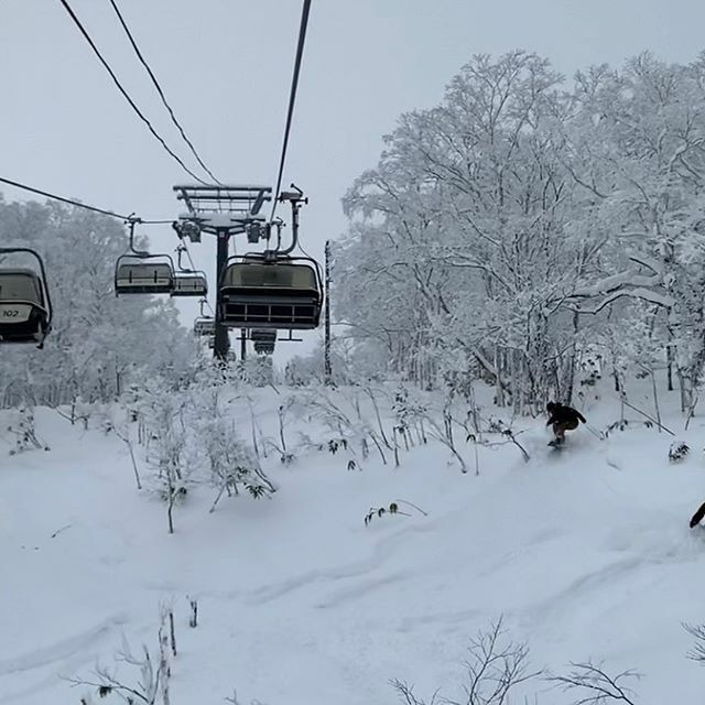 franckdecourt's tweet photo. Back to Hokkaido. Merry Christmas. https://t.co/aroCjXRrDp
