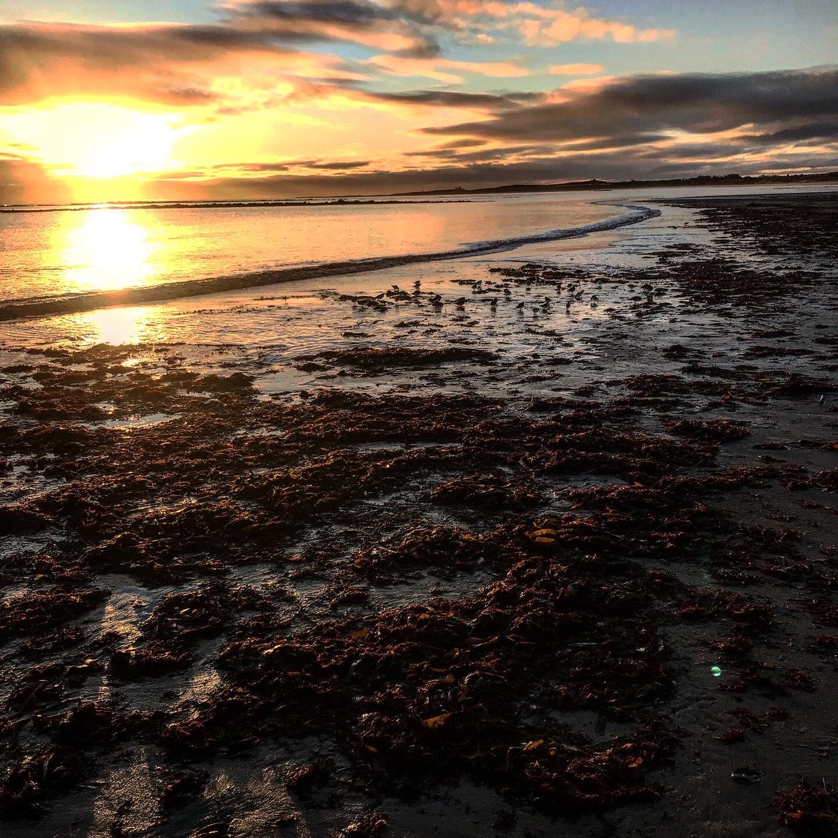 Merry Christmas 🎄