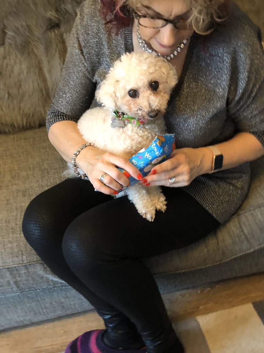 Sitting with mum opening my present. Happy Christmas to all our Twitter friends! @GeorgeBichon <a href="/Paw_Palace/">Paw Palace Boutique</a> <a href="/jenny_bichon/">Jenny and Dolly</a> <a href="/WalshKim/">kim walsh</a> <a href="/Monty_Bichon/">Monty The Bichon</a> @mollier77 <a href="/WBichon/">Winky the bichon</a> <a href="/tomthomas578/">Tom Thomas</a> #bichonchristmas