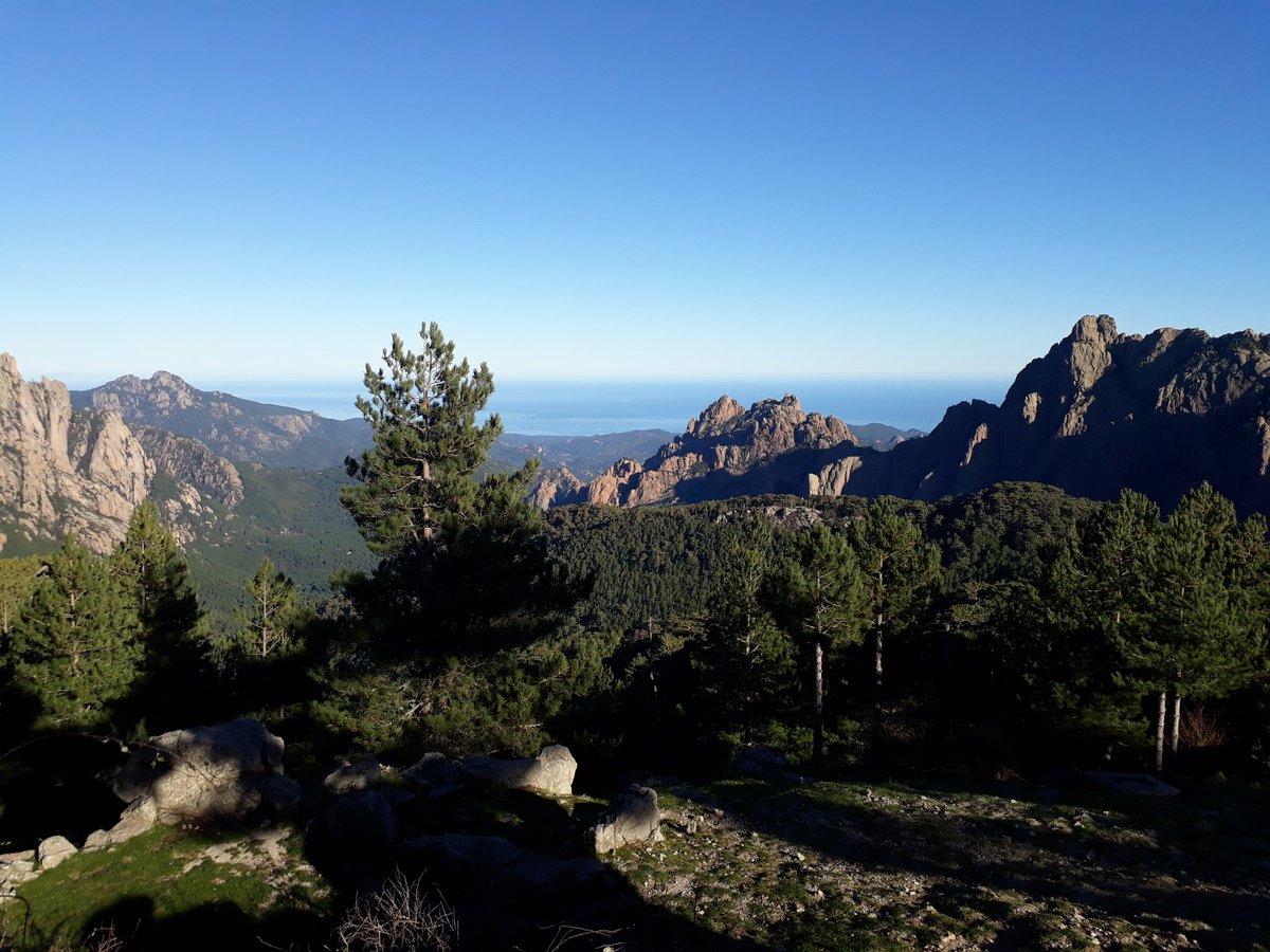 KarineLL_20's tweet photo. Bon Natale à tutti 🌲🕊 #Corsica #ColdeBavella 🏔 #Corse ⛰💙 #MagnifiqueCorse 📷 25.12.2019 https://t.co/J5LvE1xBEg
