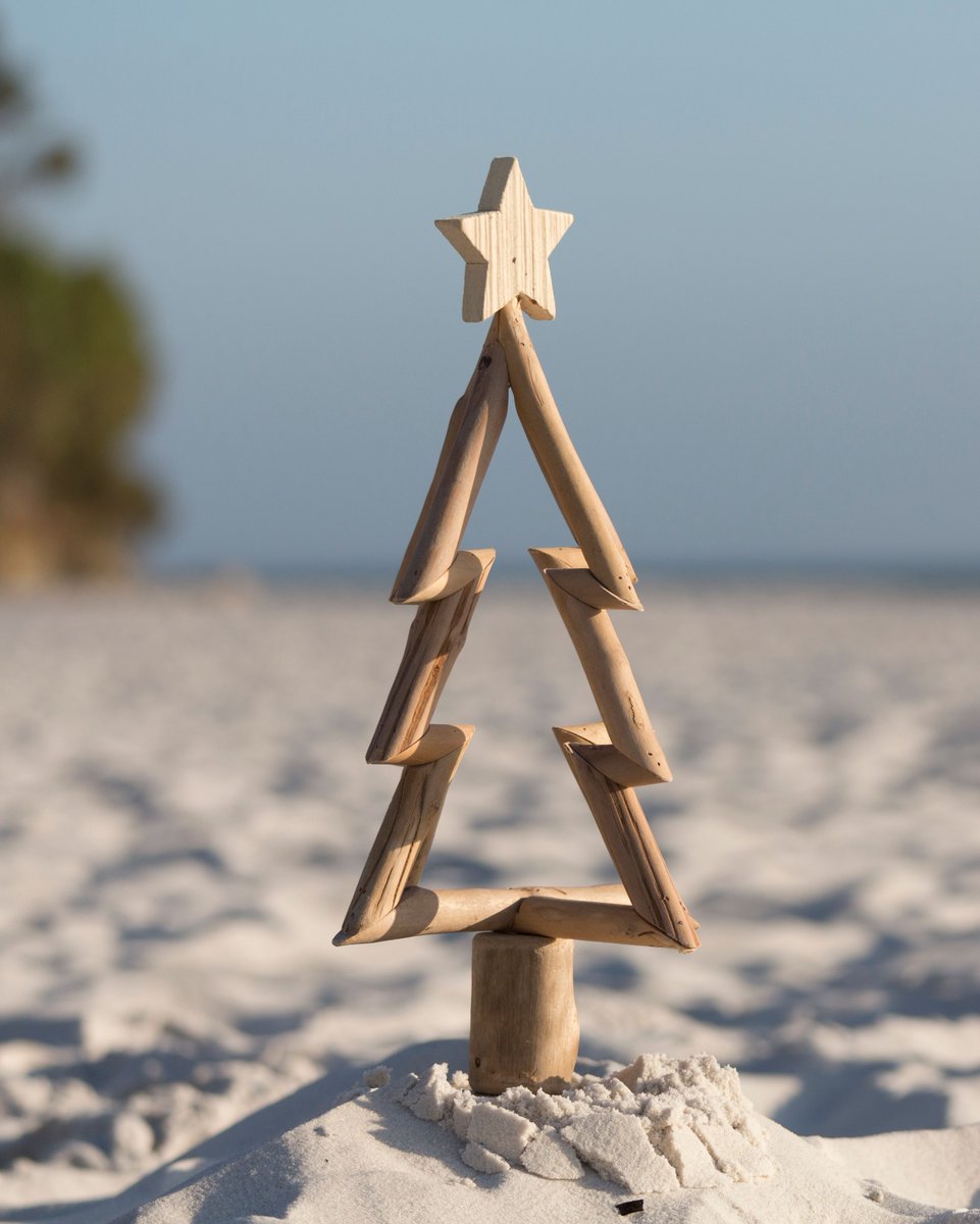 ProvidentFisher's tweet photo. We have the best staff and guests all year long and want to wish each of you a very Merry Christmas! #visitfisherisland #holidaysinFL https://t.co/cAIkrwz7XH