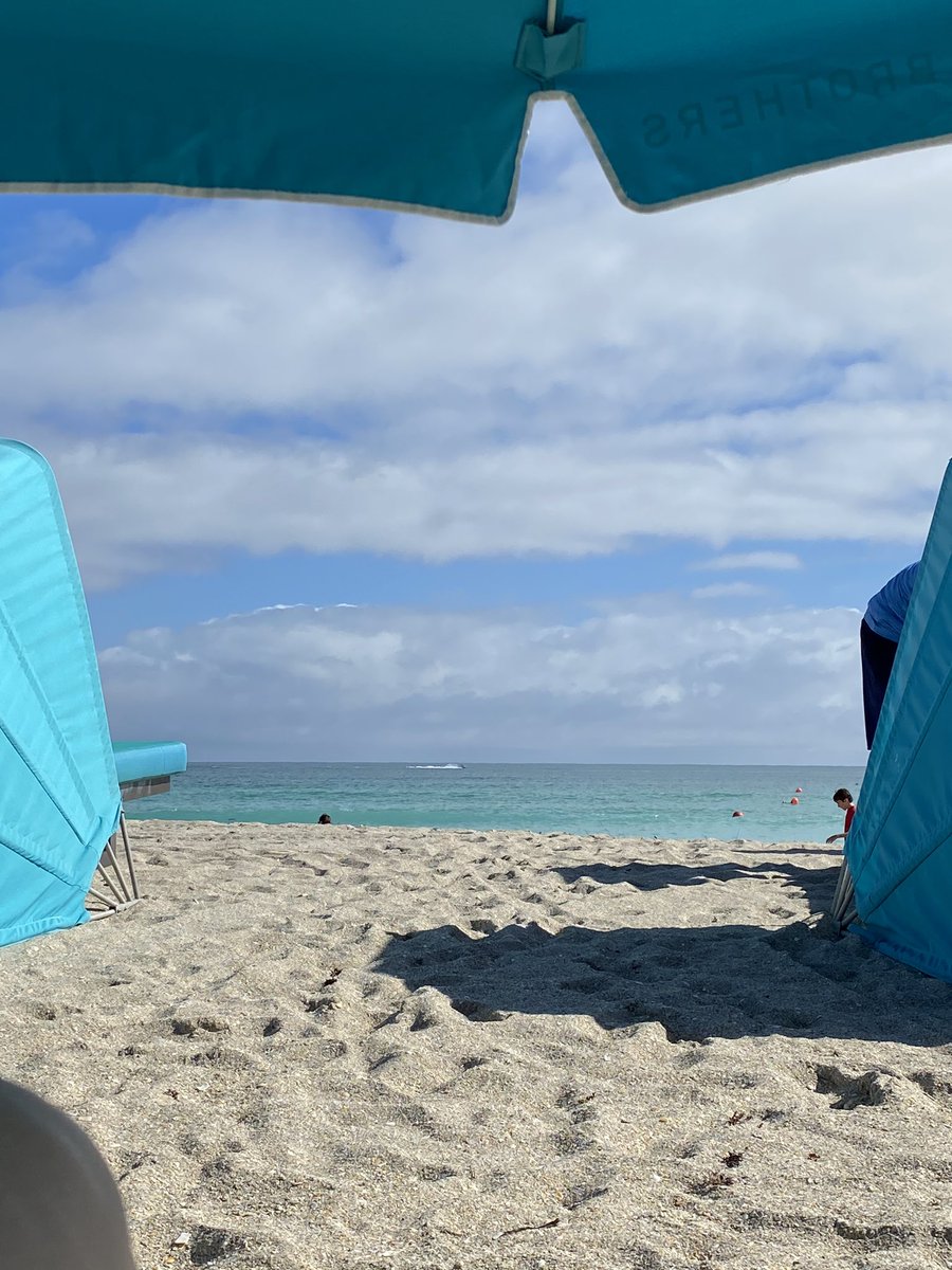 Dr. Jason Berger tweet media