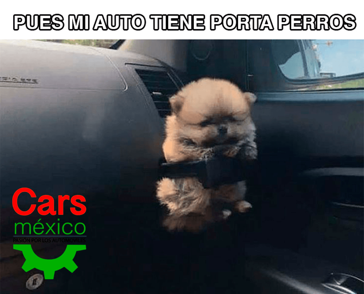 west_mexico's tweet photo. Algo que no debe faltar https://t.co/rMCdVenJWq