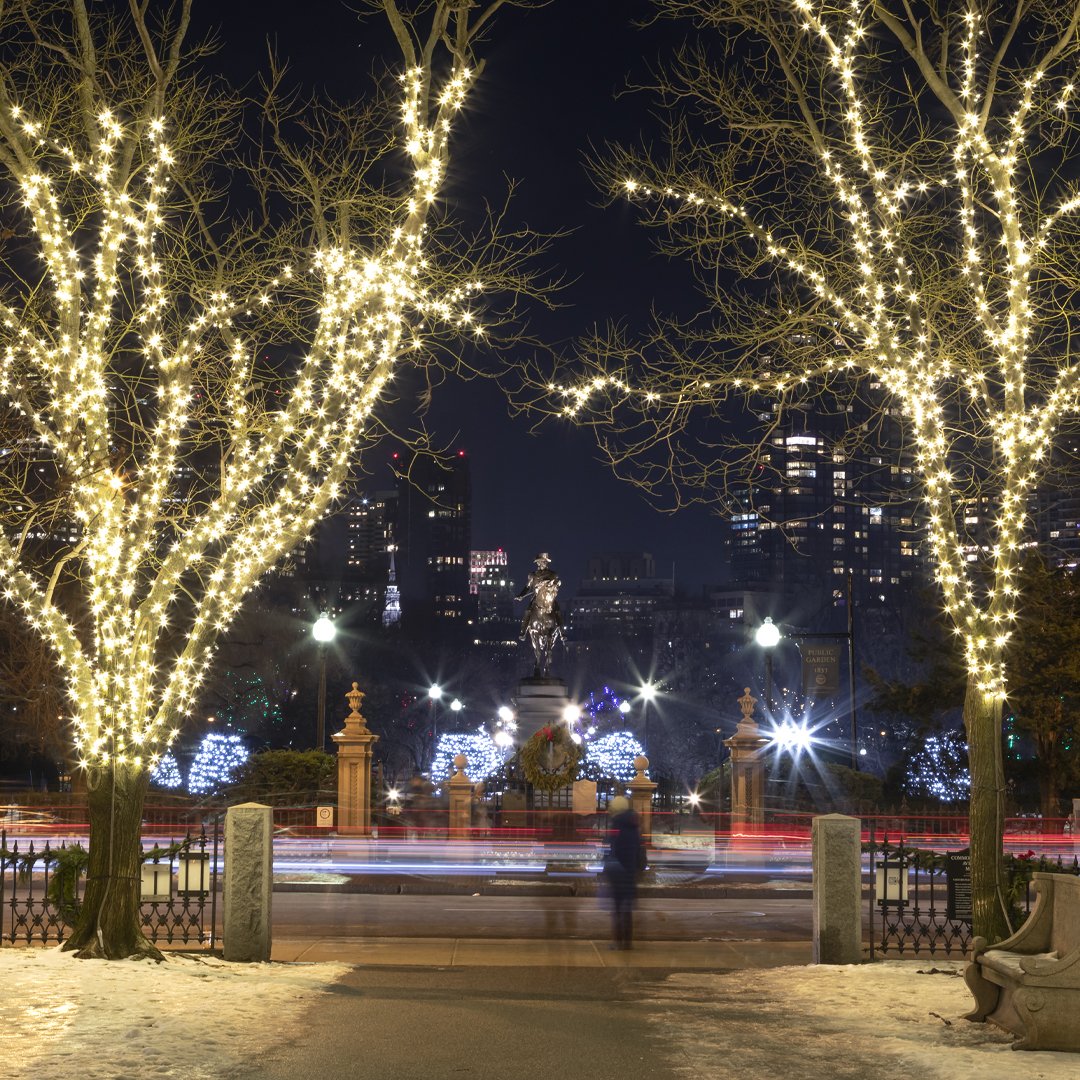 Mark Pijanowski tweet media