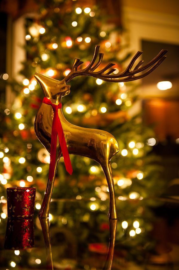 NatchaB19's tweet photo. Merry Christmas 🎄🎅🎄🎅 https://t.co/ETXspCjlDj