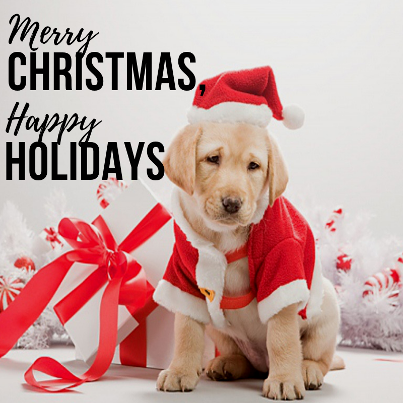 Florida Ticket Firm tweet media