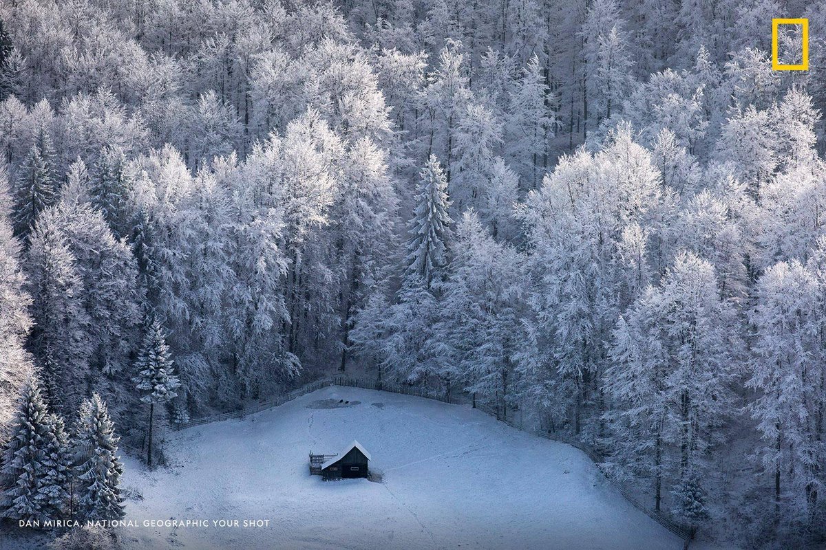 A lonely cabin stands in a clearing surrounded by frost-dusted fir trees in this thoughtful image captured by Your Shot photographer Dan Mirica in Fundata, Romania.