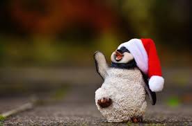 animalsbgrindin's tweet photo. A baby penguin wishing you a Merry Christmas #AnimalsDoingStuff https://t.co/iVQJQ1AWcq