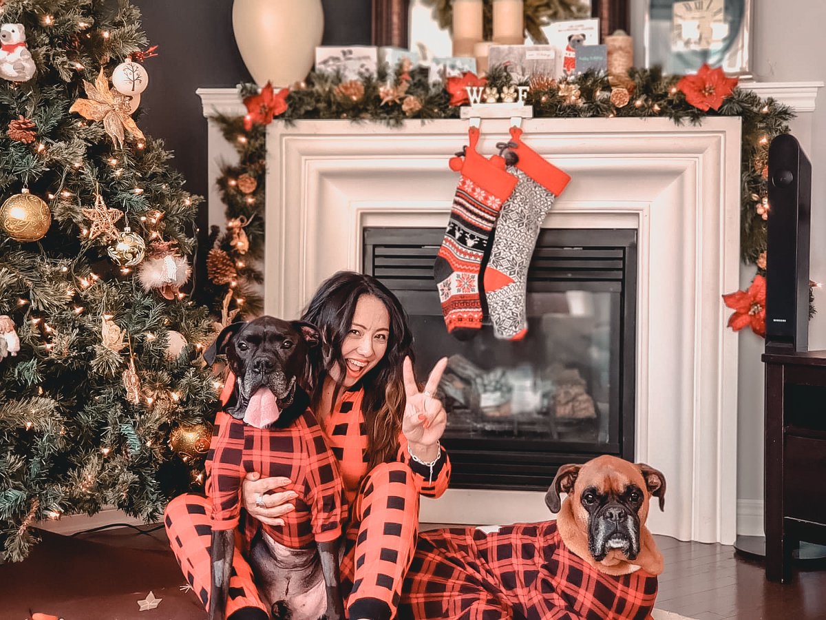 Merry Everything and Happy Always! 🥳🌲🐾 #ChristmasDay #dogsoftwitter #MerryChrismas