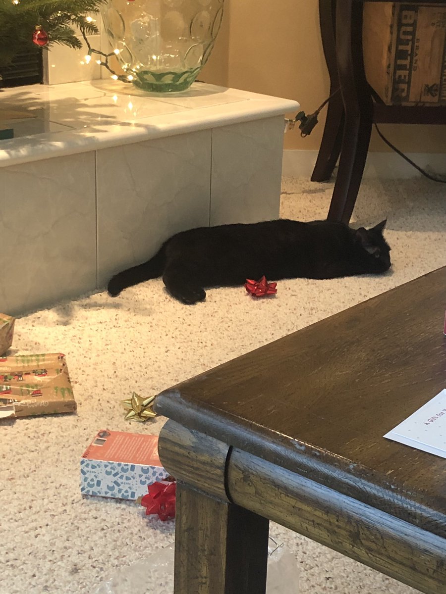terradactlerarr's tweet photo. Opening presents is hard work! Merry Christmas !!! 🎄 https://t.co/Db6qB7sKuU