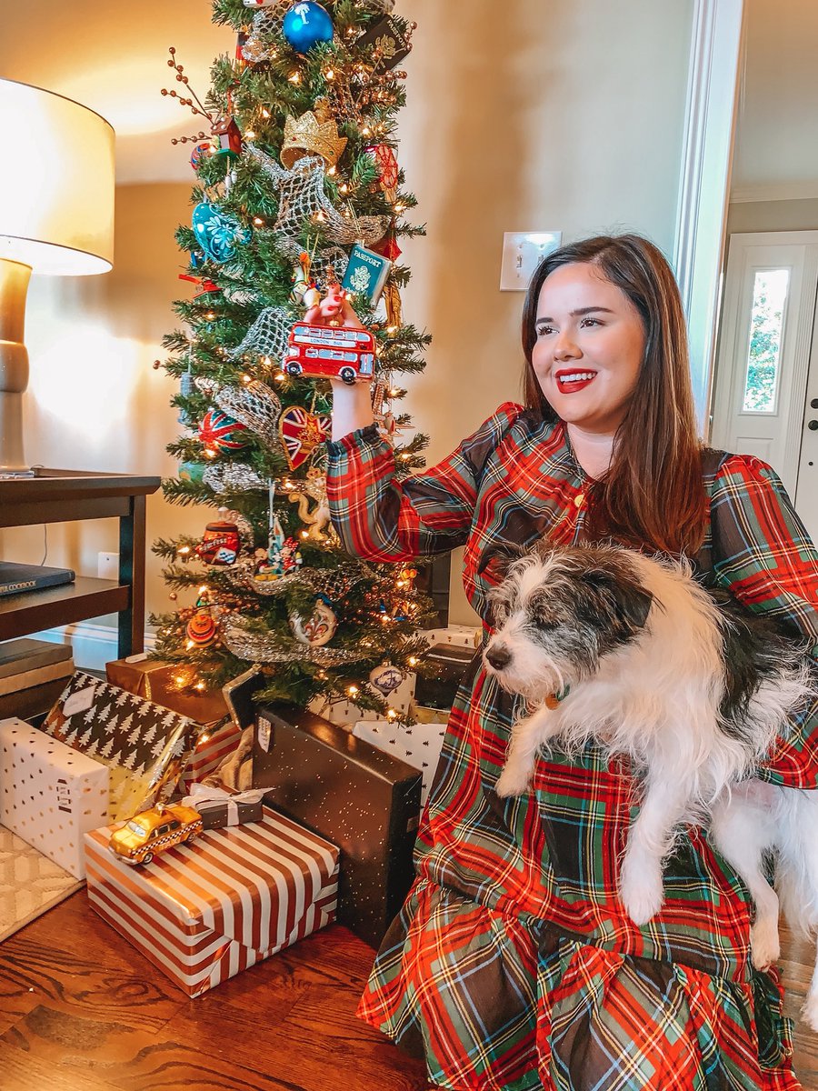 Elizabeth Rhodes tweet media