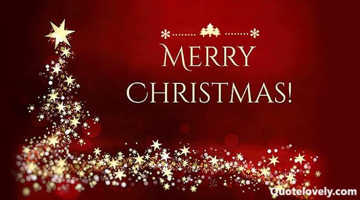 Wishing everyone a Merry Christmas🍾🌲🌺
