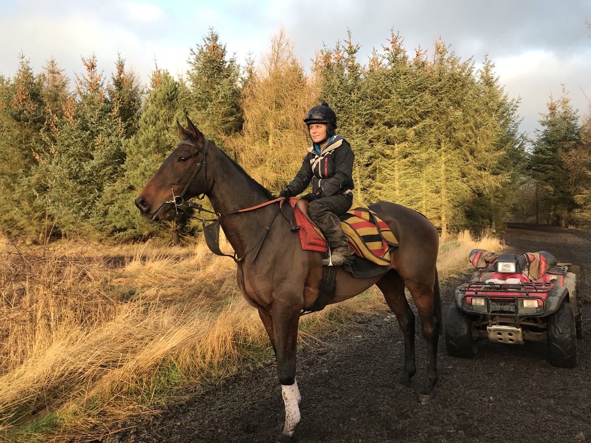 SWaughRacing's tweet photo. Boric looking forward to the Lincolnshire National tomorrow at Market Rasen. We wish you a Happy Christmas from all at Molesden. https://t.co/b7m1cxytYL