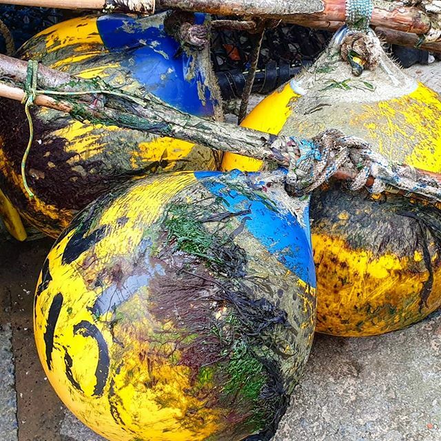 David_Mann_DM's tweet photo. #Staithes #Christmas #Bouy-balls to you all! https://t.co/gmwaGZ2Lyz https://t.co/RafWLzqlOW