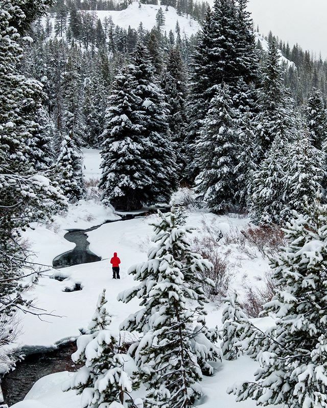 oliverguyphoto's tweet photo. Winter Wonderland .
.
.
.
.
#sunvalley #seeksunvalley #idahodaily #idahomeshop #weknowidaho #nature_brilliance #EarthVisuals #artofvisuals #welivetoexplore #natureaddict #naturediversity #naturelovers #awesome_earthpix #liveauthentic #thecreative #livefo… https://t.co/JKwPSQTpsN https://t.co/zVBDaLOnNy