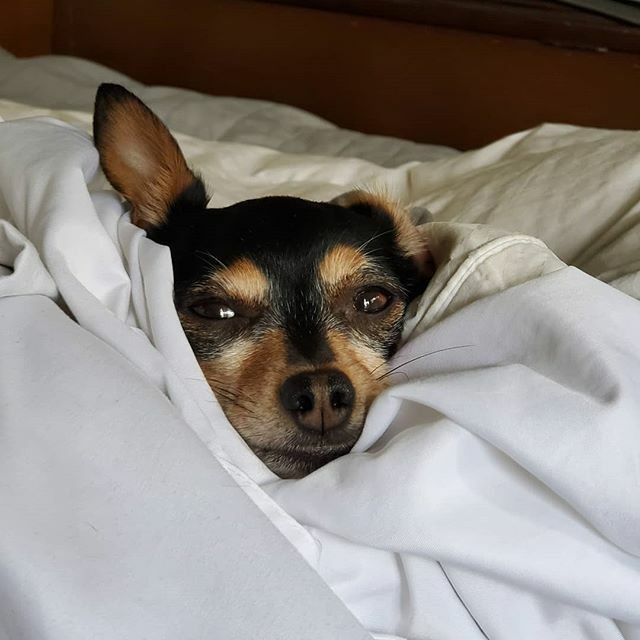 Good morning. Merry Christmas!