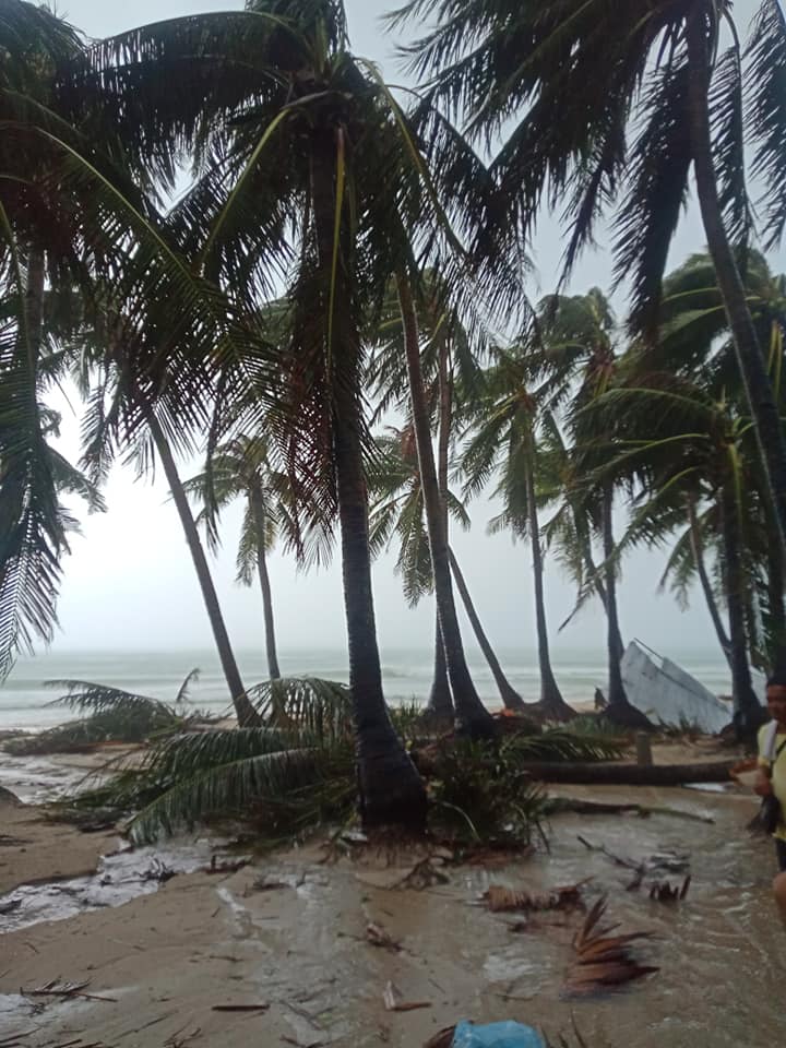panaynewsdotnet's tweet photo. LOOK: Typhoon #UrsulaPH devastated the famous Boracay Island in Aklan on Christmas day, December 25.
Ursula shattared #Boracay island damaging houses and resorts, blowing trees onto roads and cutting off electricity and communications.
📸 Aj Pingol https://t.co/dfdKDyEuJm