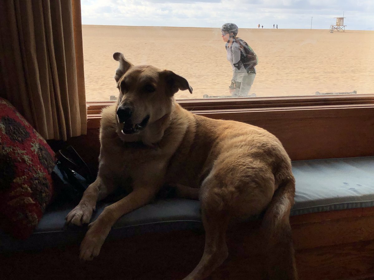 Gail_Wesson's tweet photo. At #Tower6 the clouds are moving in, the dog wants to go meet new people and humans waiting to open packages. Merry Christmas to all. https://t.co/fpOPYlxMVj