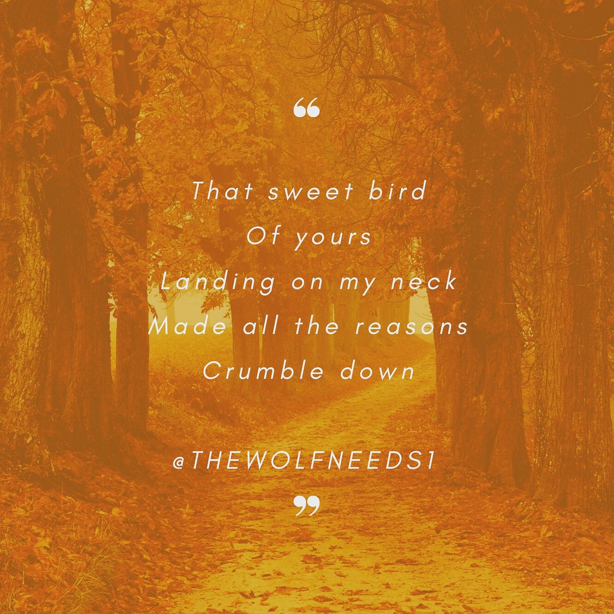 Thewolfneeds1's tweet photo. #PoemTrail #prosewords #poetrylovers #poetrywriter #Prosewords #amwriting #poetrycommunity #poetry #poems #PoetrySlamSession #poem #writing #writingcommmunity #WritingCommunity #PoetsSettlement #poetsofinstagram https://t.co/5acJejmbI6 https://t.co/n1xcjA8R8W