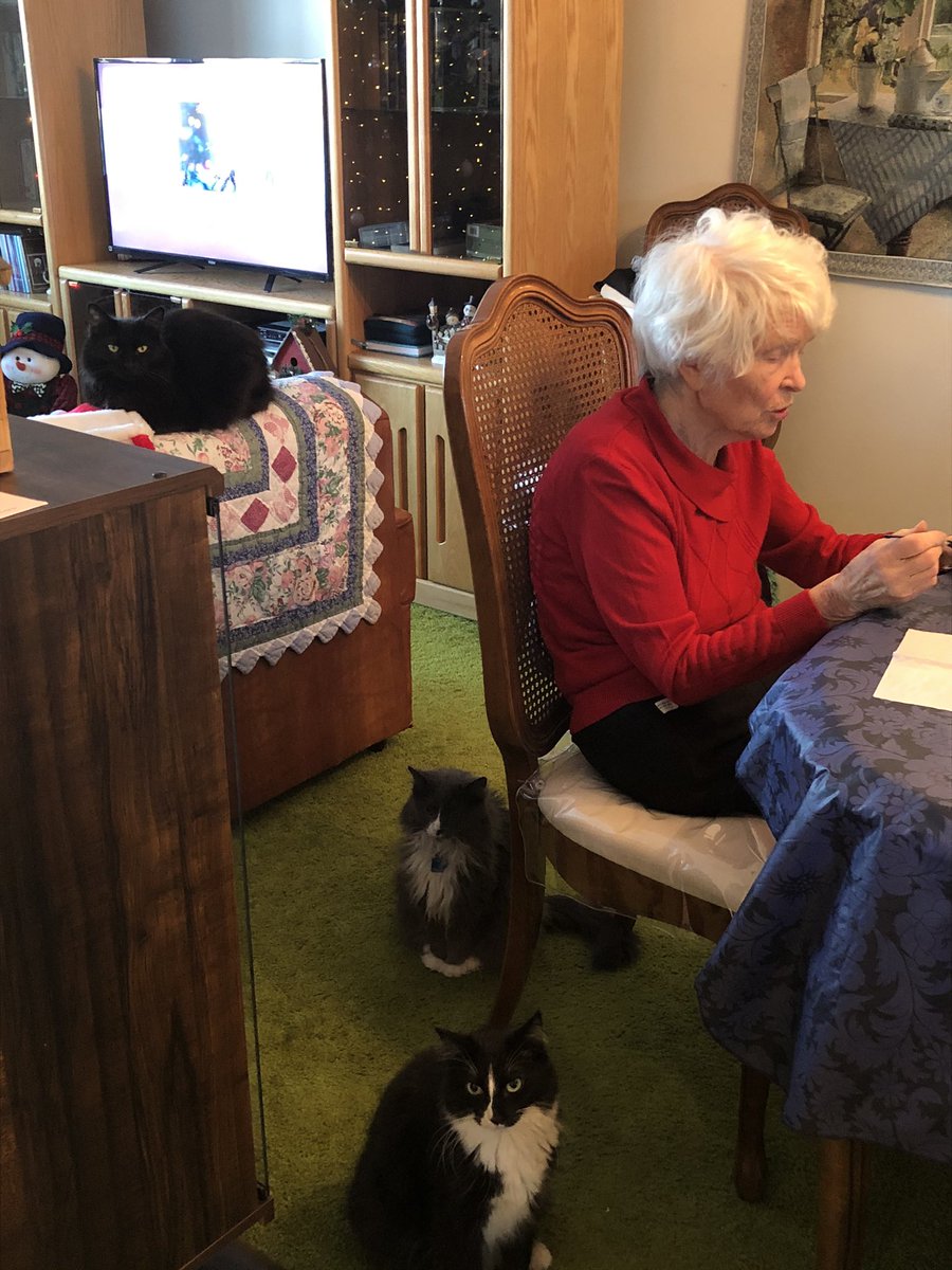 Great-grandhoomum is here for Christmas - we haven’t seen her in over two years! We were very excited to greet her and give her lots of love and attention! #MeowyChristmas!