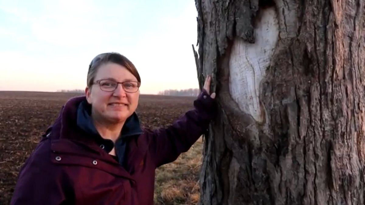 CacheCanada's tweet photo. Do you #love ♥️ #geocaching ?
Lyriclass found a heart on a tree that had a cache at it during our 3 2 1 Souvenir run
https://t.co/iZY9Pc1Tqh
#geocache #CacheCanada
#FirstLightChallenge #FirstLight1000 @GoGeocaching https://t.co/6N2vl1MVcG