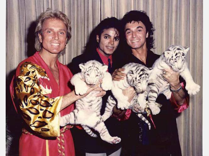 mjdavid007's tweet photo. January 23, 1988. Michael Jackson attends magicians Siegfried and Roy's 'Beyond Belief Show' at the Frontier Hotel in Las Vegas. 

Visit my site to get 250 exclusive Blurays &amp; DVDs! 

#michaeljackson #kingofpop #moonwalk #music #pop #mjrare #onthisday #todayinhistory #love #today https://t.co/PcxL5Ylv0S