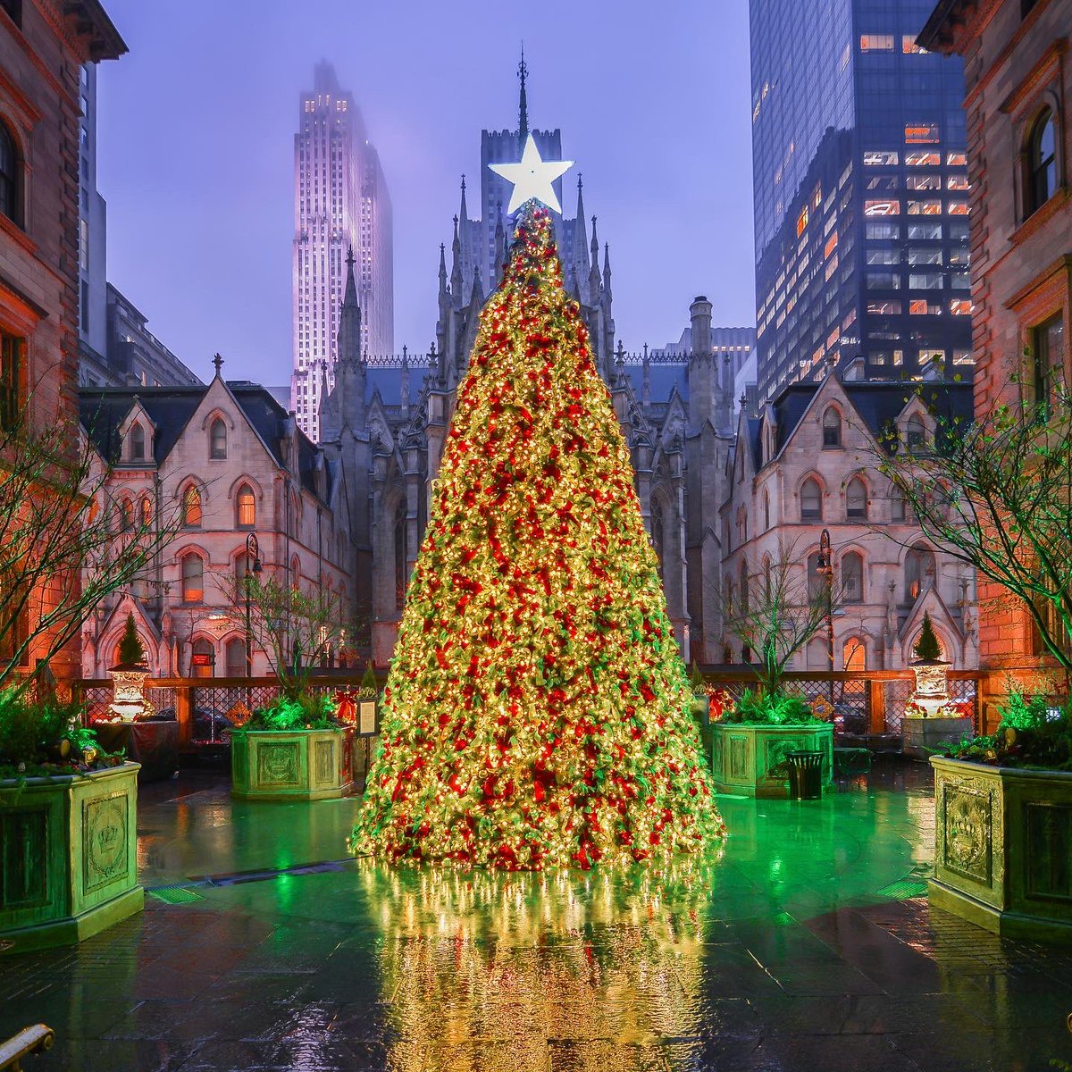 Noel Y. Calingasan • NYC on X: LV Christmas cheer Louis Vuitton's 12-story Christmas  tree on the facade of its flagship store at the corner of 57th Street and  Fifth Avenue featuring