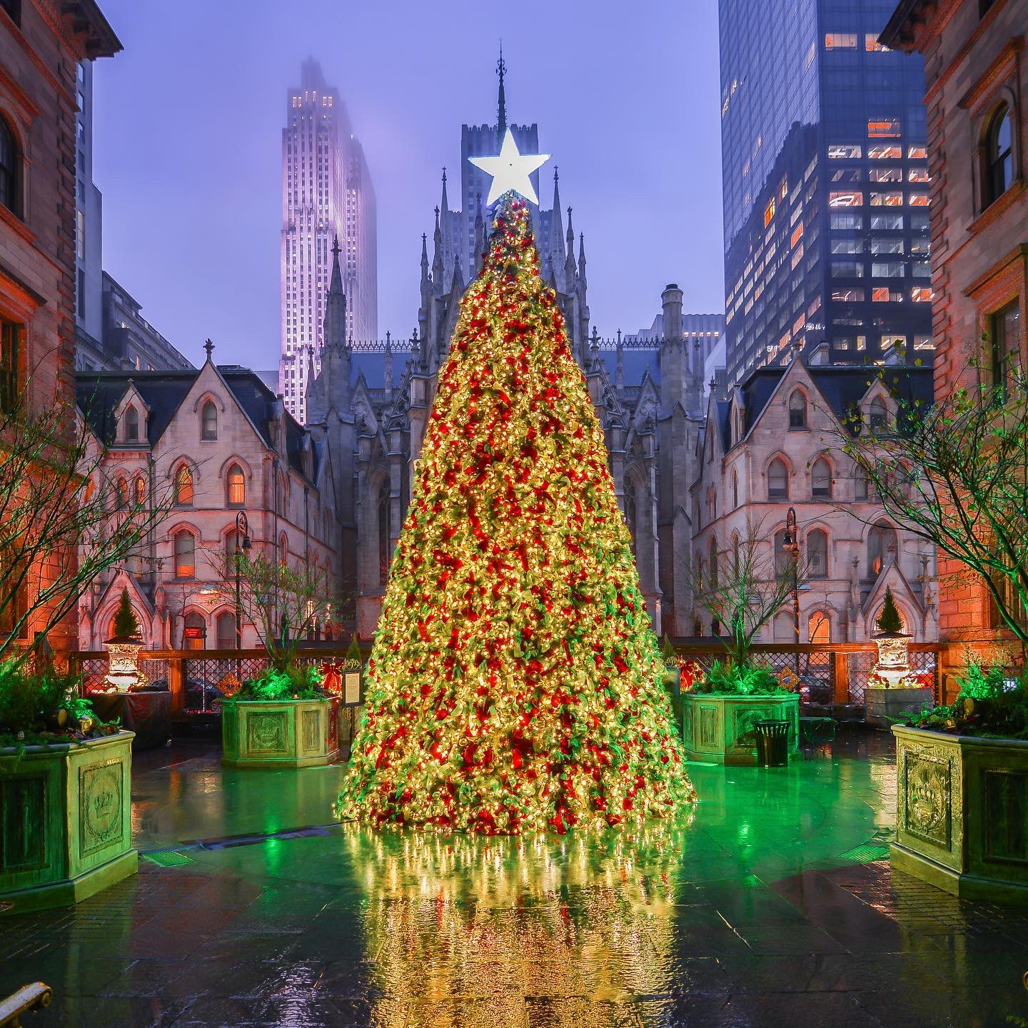 Noel Y. Calingasan • NYC on X: LV Christmas cheer Louis Vuitton's 12-story  Christmas tree on the facade of its flagship store at the corner of 57th  Street and Fifth Avenue featuring