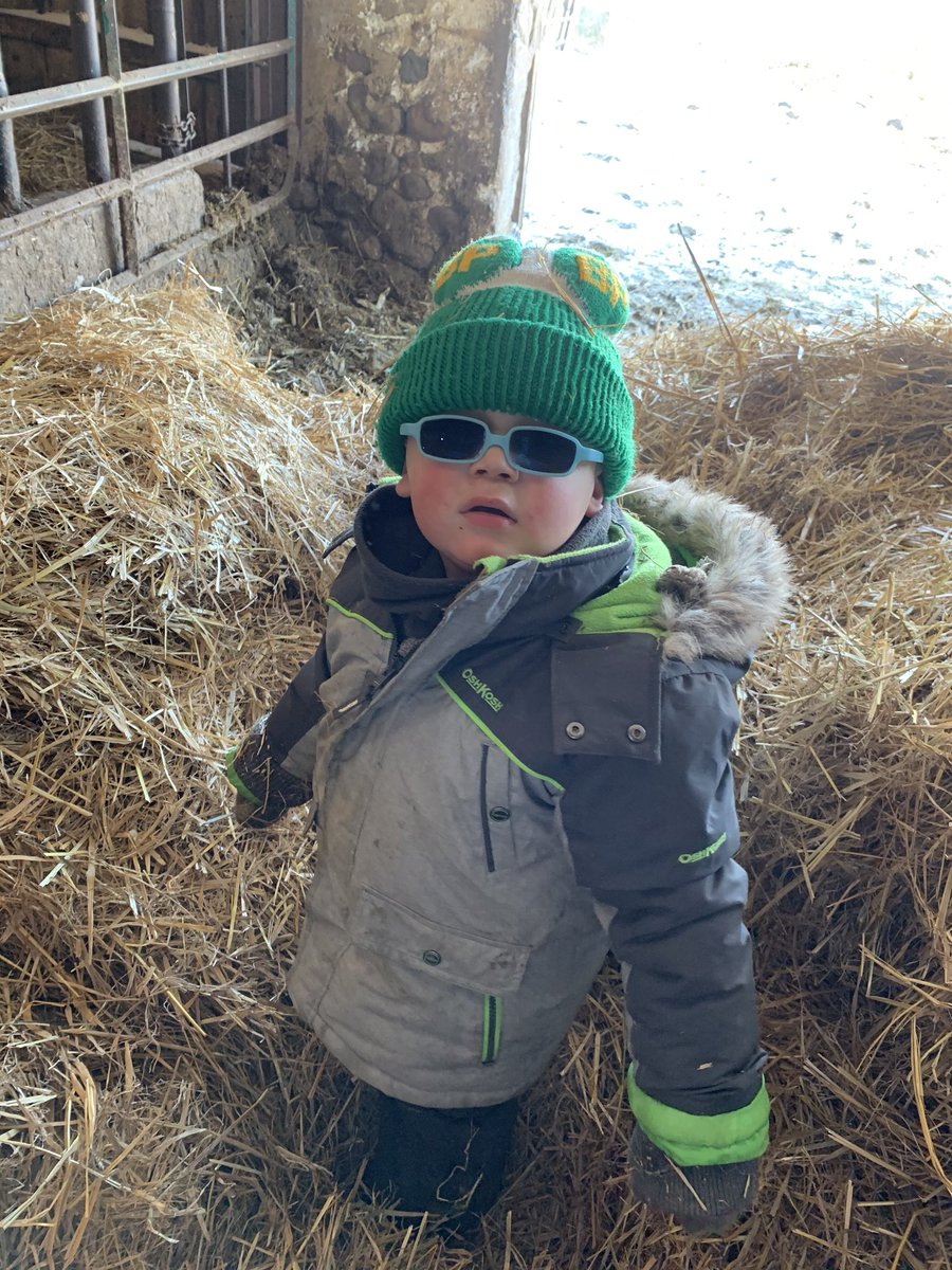 ashdyce's tweet photo. Merry Christmas to everyone! The calvies and cows are all fed and bed and everyone is having a very Merry Christmas here at the Dyce farm! We hope you all have an amazing holiday season! #tysonandthomas #christmas2019 #farminglifeisthebestlife #sohappy #ourhappyplace #oursafeplac https://t.co/Hdpl9GJZy8