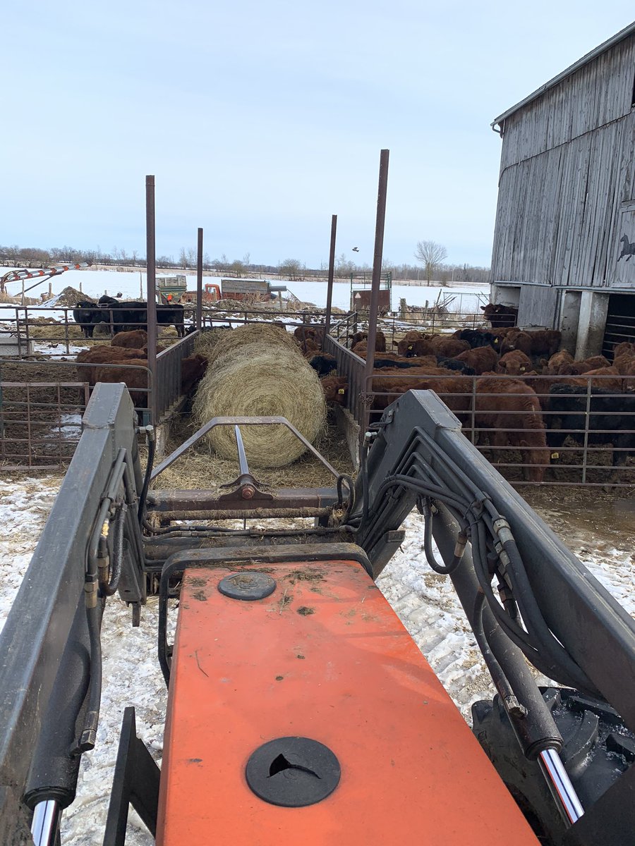 ashdyce's tweet photo. Merry Christmas to everyone! The calvies and cows are all fed and bed and everyone is having a very Merry Christmas here at the Dyce farm! We hope you all have an amazing holiday season! #tysonandthomas #christmas2019 #farminglifeisthebestlife #sohappy #ourhappyplace #oursafeplac https://t.co/Hdpl9GJZy8