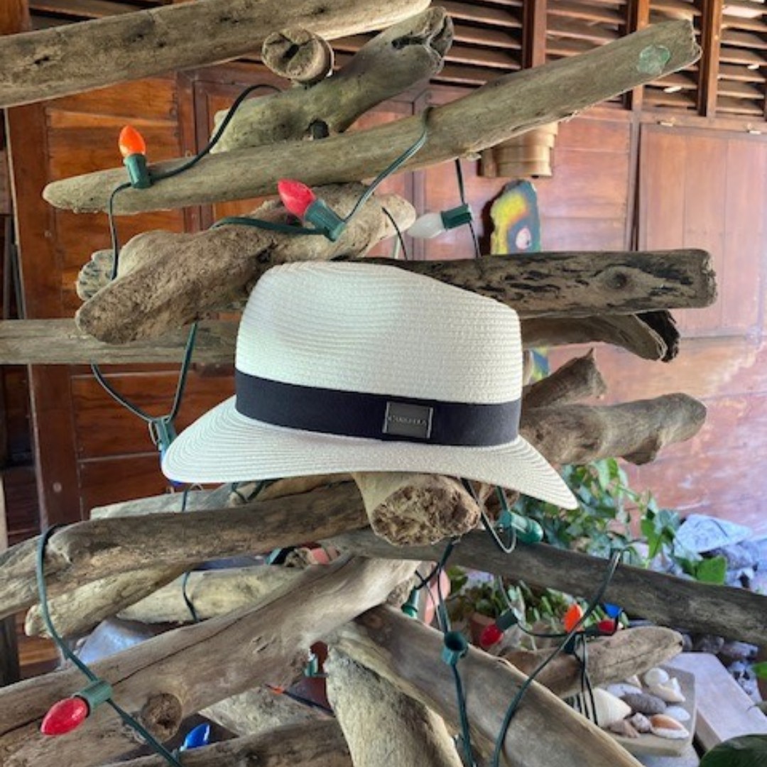 carkellahats's tweet photo. Wherever you are, however you celebrate, we hope this holiday season is full of love and light ✨

#carkellahats #letyourhatdothetalking #costarica #beach #hat #sunhat #upf #upf50 #sunprotection #happyholidays https://t.co/VYfuH1nFxQ