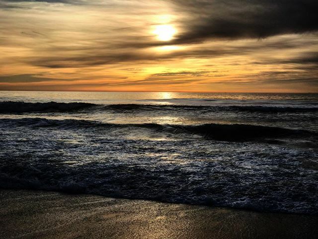 alvara05's tweet photo. Navidad’19 junto a la playa del Palmar 🎄🦐🦃🍷⛱😎 https://t.co/yjEZetsExH https://t.co/4W7Glkz6z7