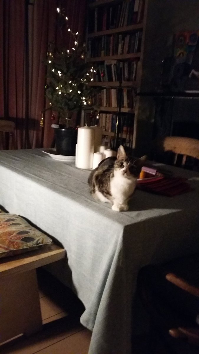 jemimalaing's tweet photo. @Number10cat I won't tell anyone if you don't #notonthetable https://t.co/eUYs7fodOK