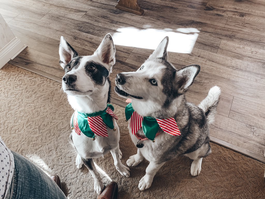 Merry Christmas! ✨❤️