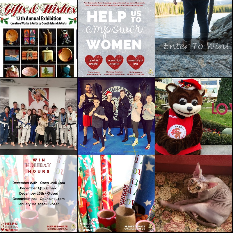 Victoria BC Now tweet media