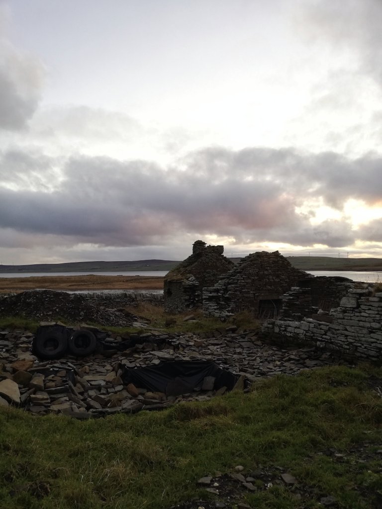 themerrydancer's tweet photo. Nice start to the Christmas afternoon with a walk to check out some archaeology and seaweed @orkneycom @NLFerries @The_Orcadian  @UHIArchaeology  #skaill #midhowe #rousay #christmas https://t.co/3EBtjpRtjc