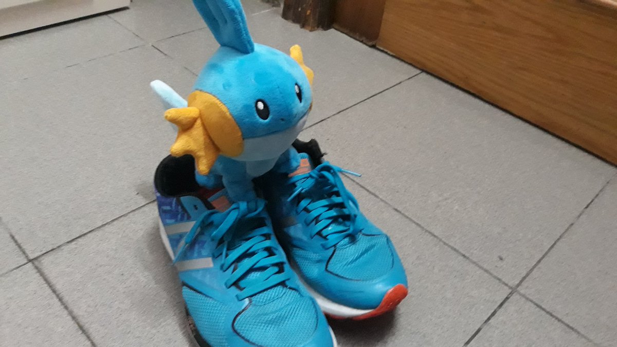 RSE_Shitpost's tweet photo. Mudkip trying on the Swampert shoes. https://t.co/9nzLSyWOAQ