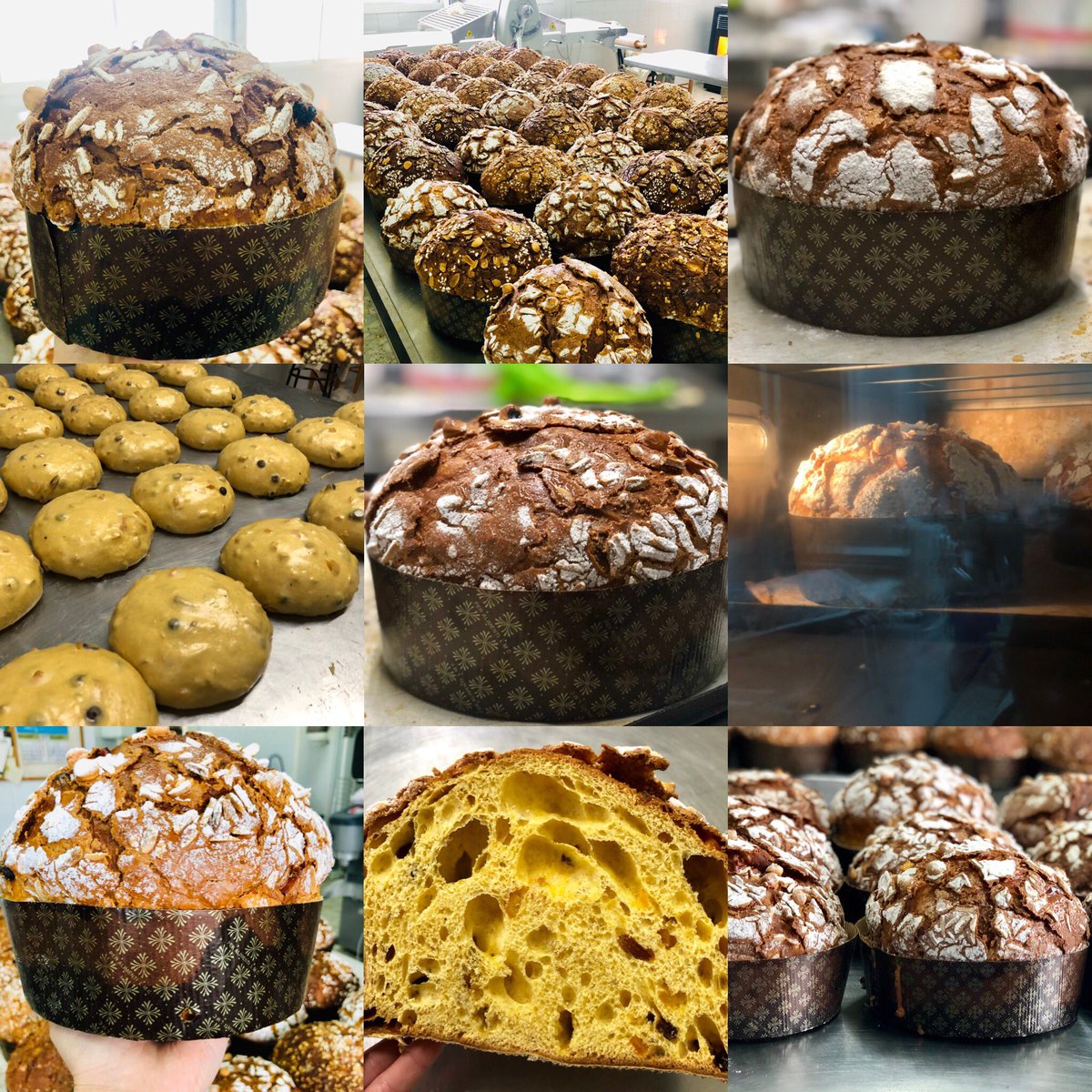 manu_garea's tweet photo. Bo Nadal - Joyeux Noël! Dende Melide entre os nosos #panettone que en pouco tempo se agotaron... #lievitomadre #panettone #natale #noël #Melide #manuelgarea #chefs #romanvarela #trisquel #pâtisserie #Nadal https://t.co/ToErr3Lt3i